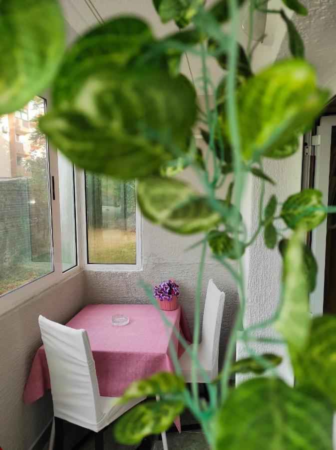 Apartment Sanja Pazin Luaran gambar