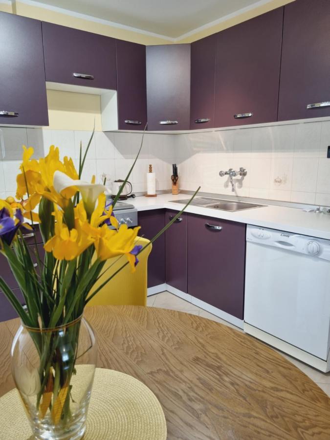 Apartment Sanja Pazin Luaran gambar